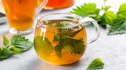 Nettle Tea