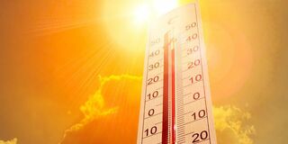 Beat the heat this summer