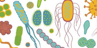 Unleashing the Power of the Microbiome: The Importance of Kefir