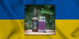 Kombucha that's good for body and soul